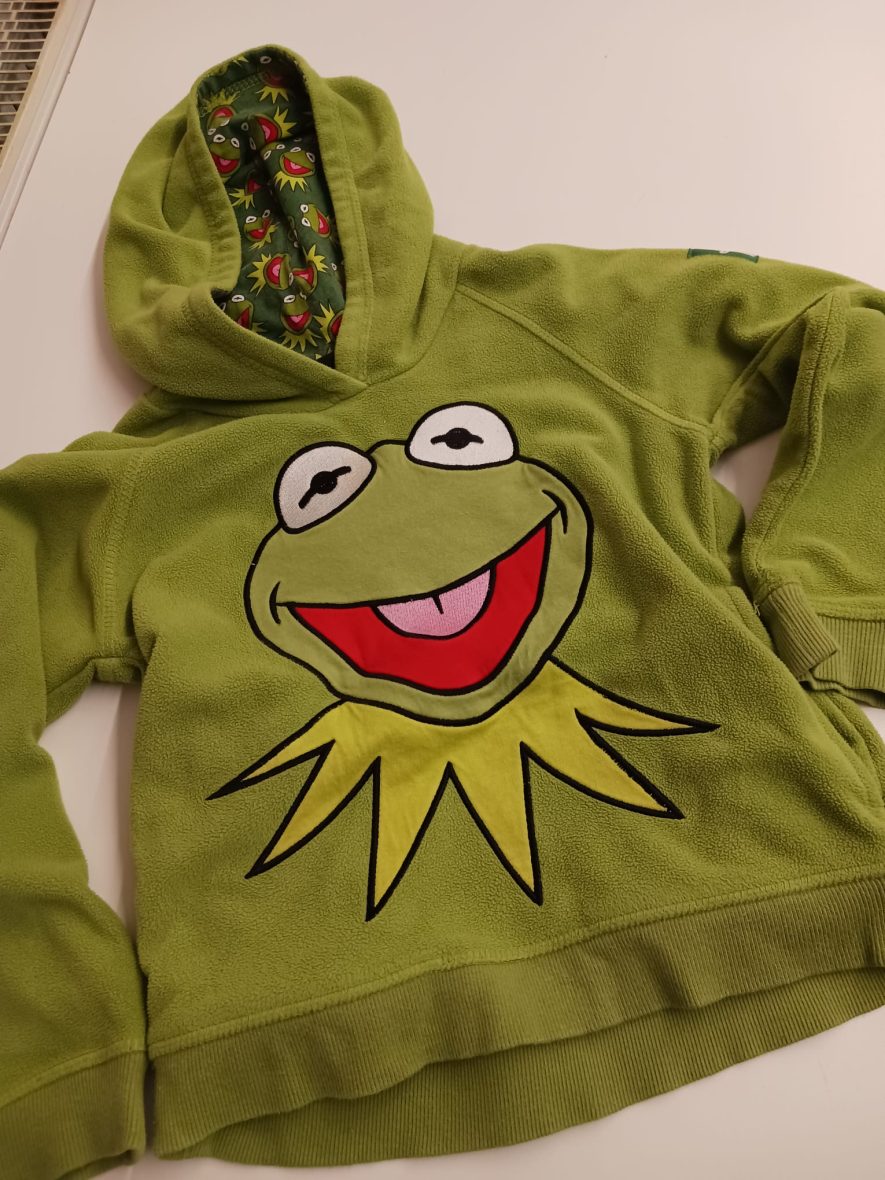 Hoodie „Frosch“